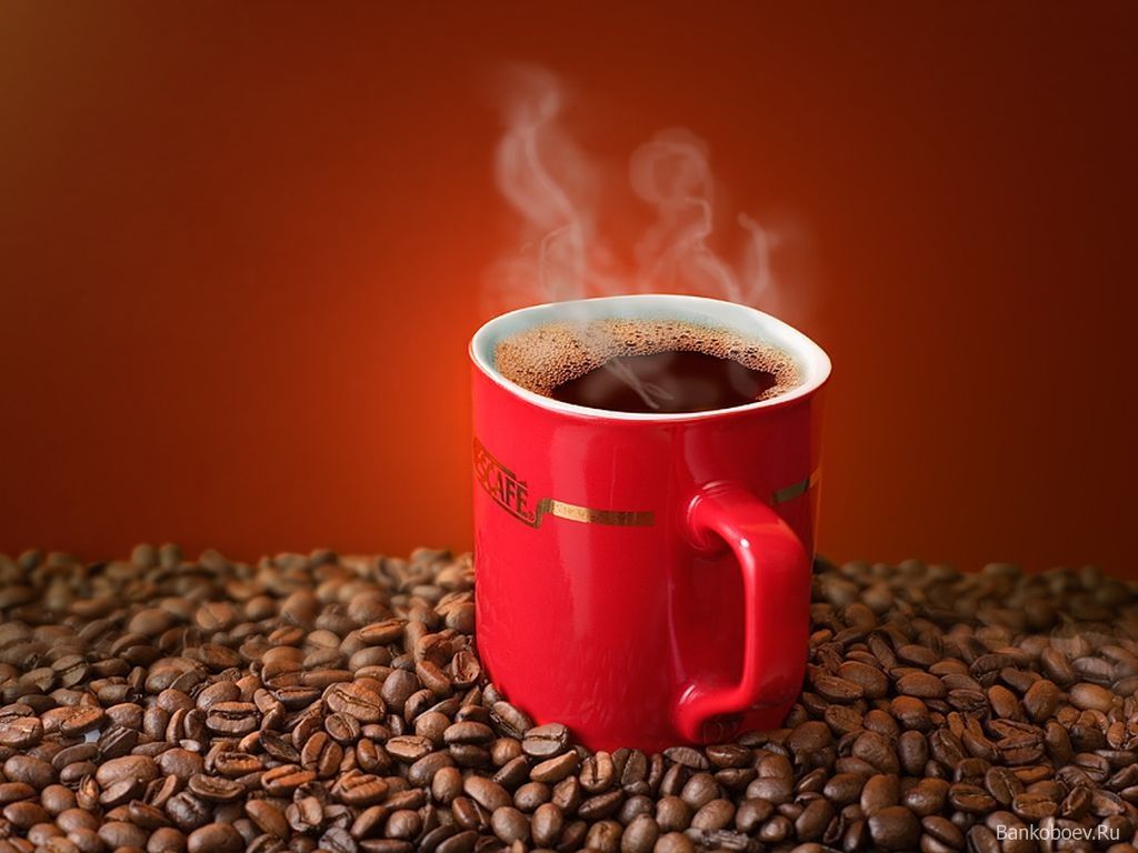 SÜTLÜ NESCAFE