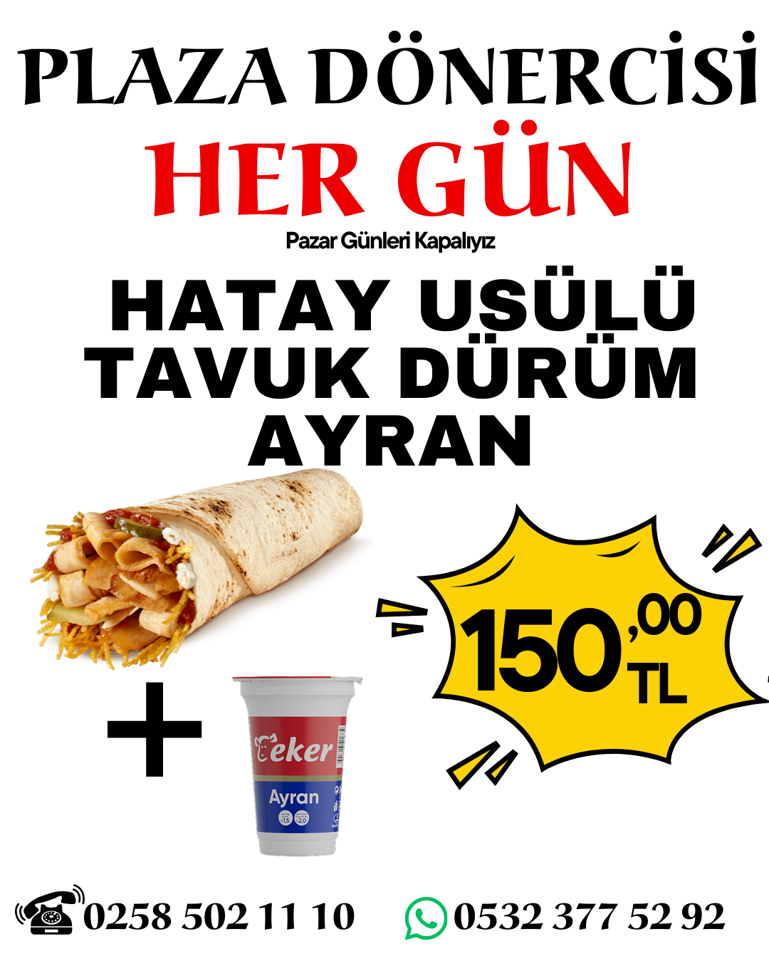 HATAY USULÜ TAVUK DÖNER + AYRAN