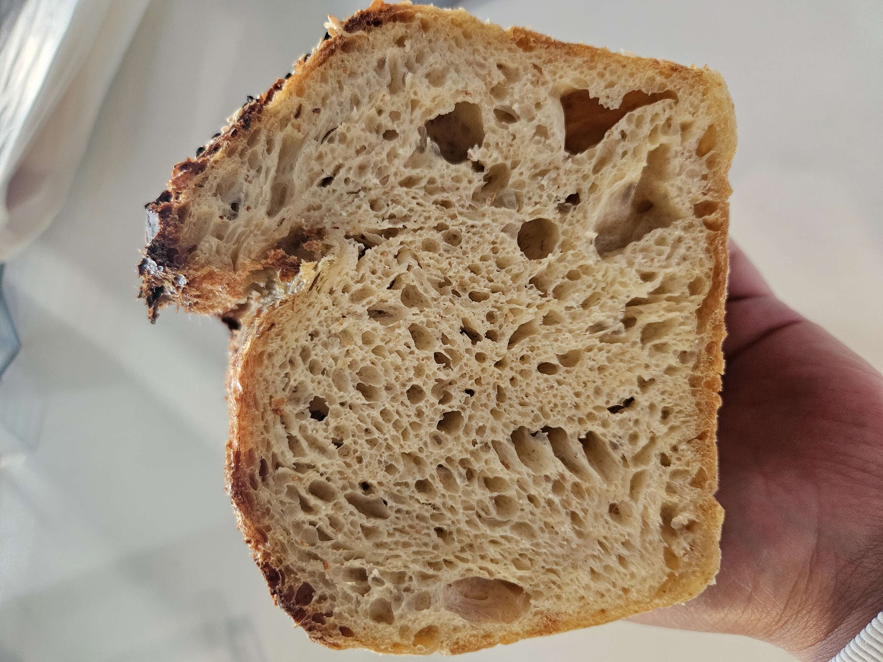 Sourdough Breads