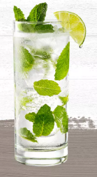 Mojito