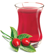 Kuşburnu