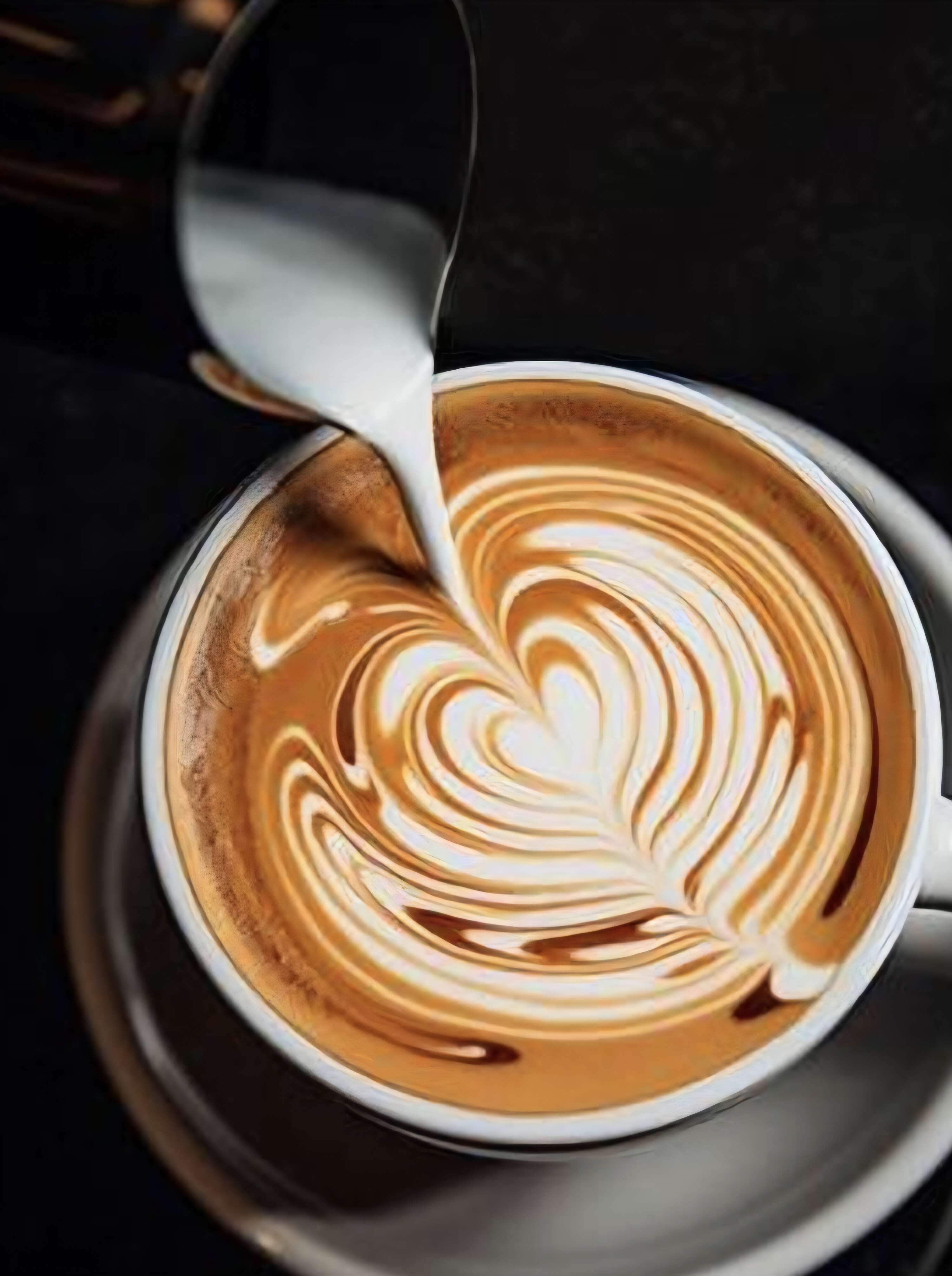 CAPPUCCİNO