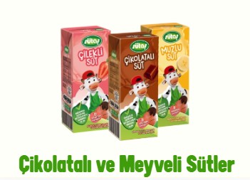 Süt