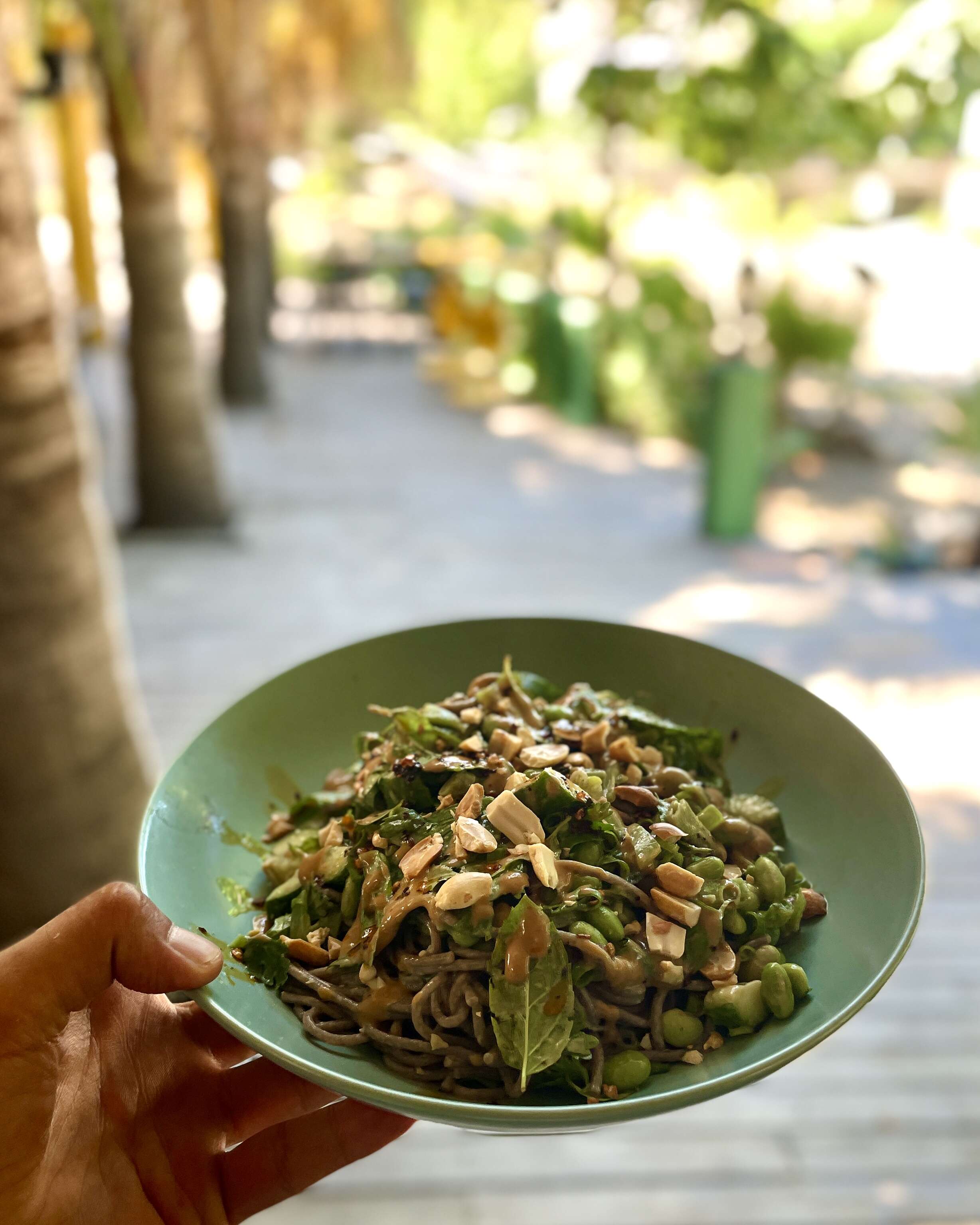 Soğuk Soba Noodle Salatası / Cold Soba Noodle Salad
