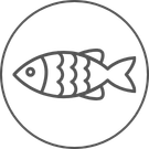 🐟Balık