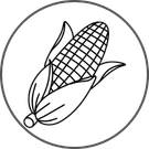 🌽Mısır