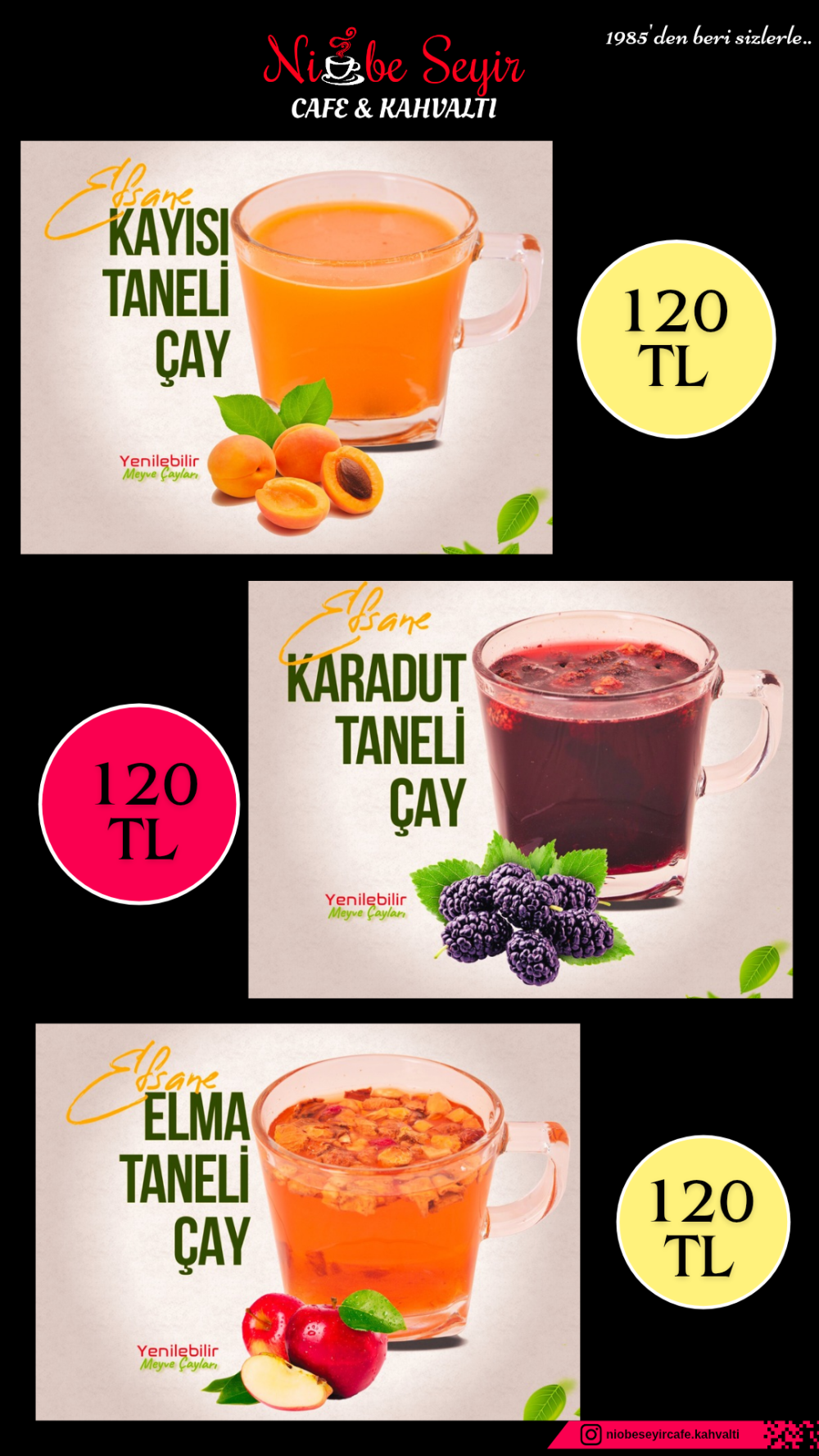 YENİLEBİLİR MEYVE ÇAYI 