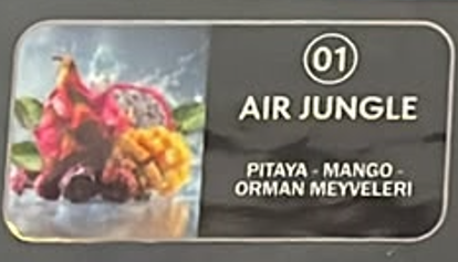 AIR JUNGLE  01