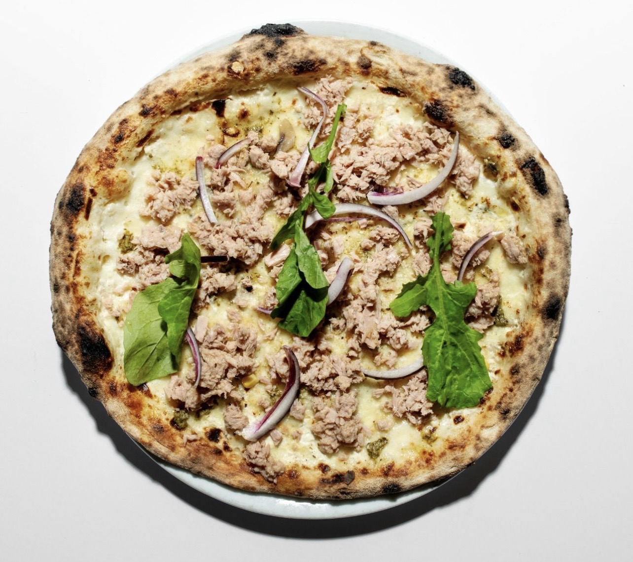 Tuna and red onion pizza
