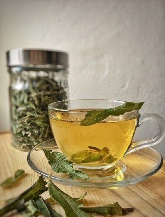 Lemon balm tea