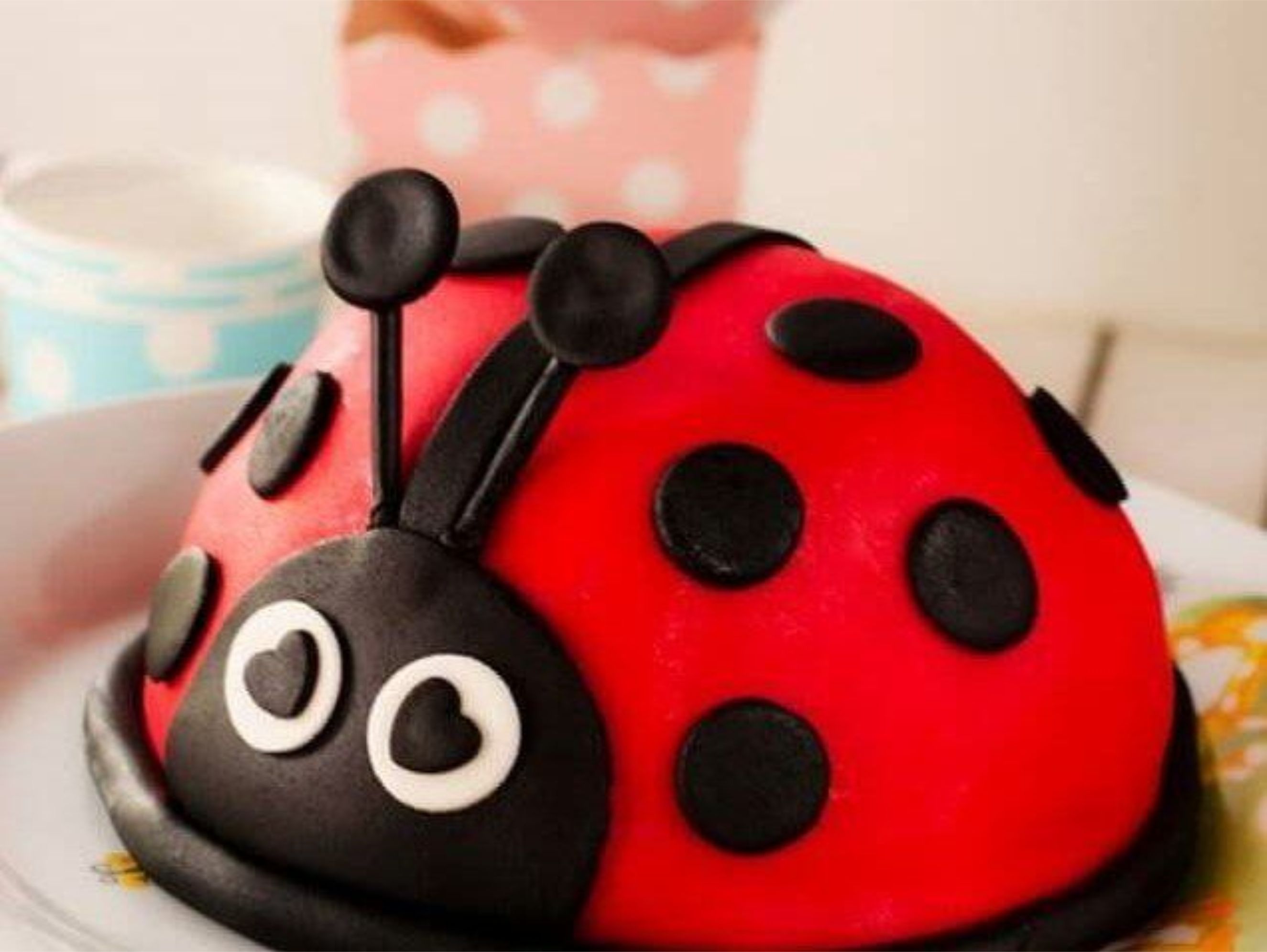 Ladybug