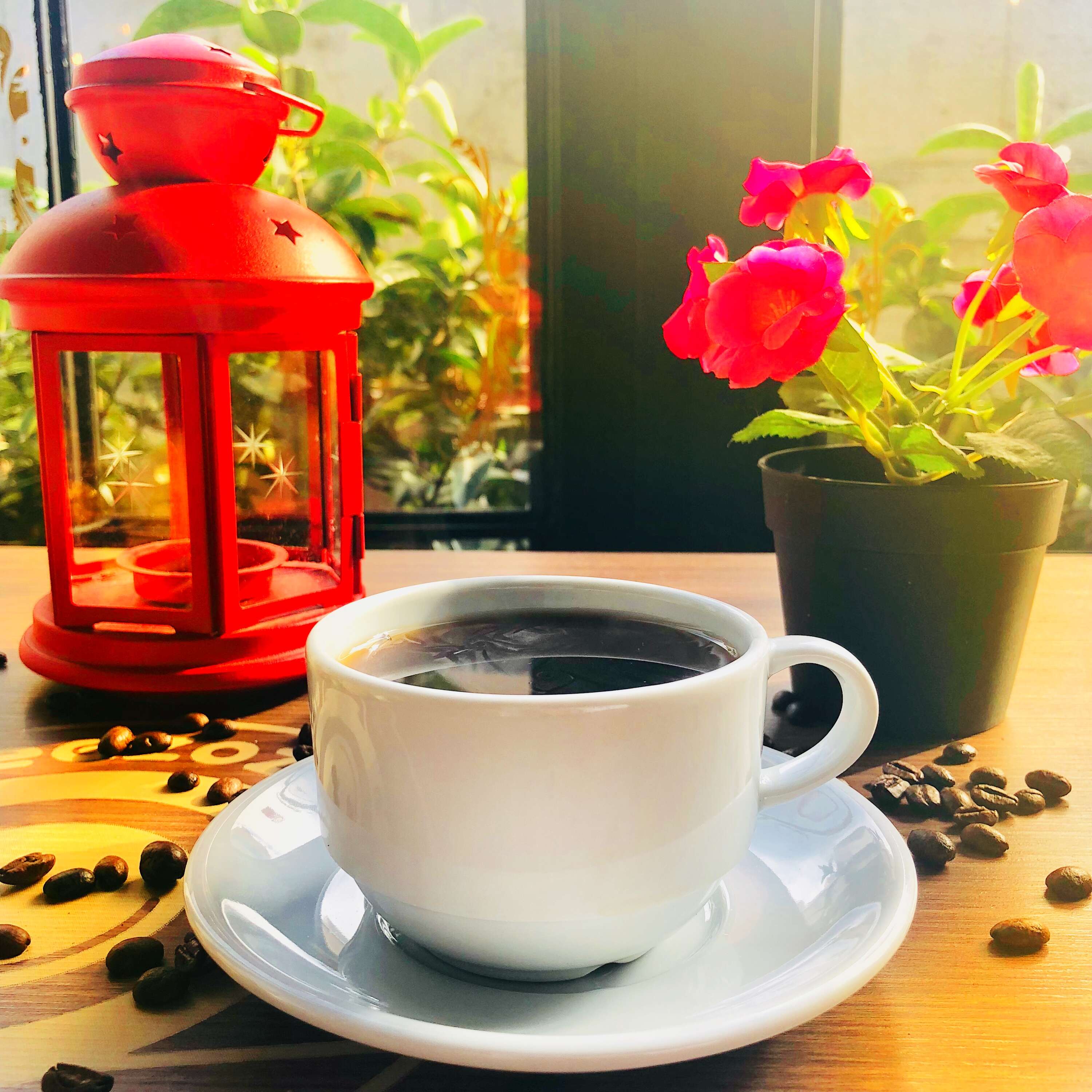 CUP OF TEA