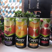 CAPPY FRUIT JUICE / ORANGE - SOUR CHERRY - APRICOT - MIXED