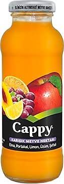 Cappy (sour cherry, peach, apricot, mixed)