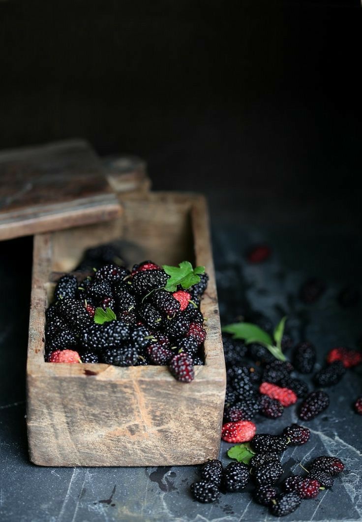 Oralet Mulberry – Granulated