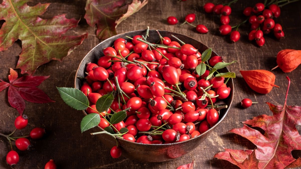 Granulated Rosehip Oralet