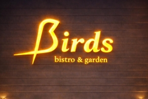 Birds Logo